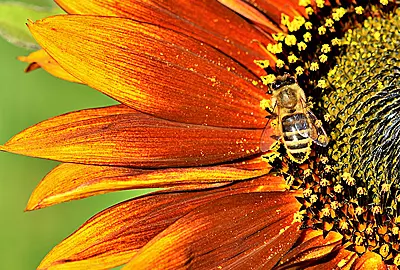 Weiterbildung Energie und Umwelt TÜV Akademie