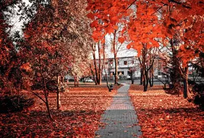 Verkehrssicherungspflichten in der Immobilienwirtschaft - TÜV Akademie