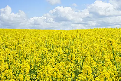 Weiterbildung Umwelt - TÜV Akademie