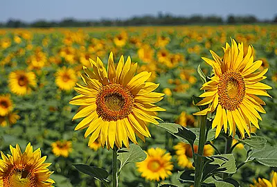 Weiterbildung Energiemanagement TÜV Akademie
