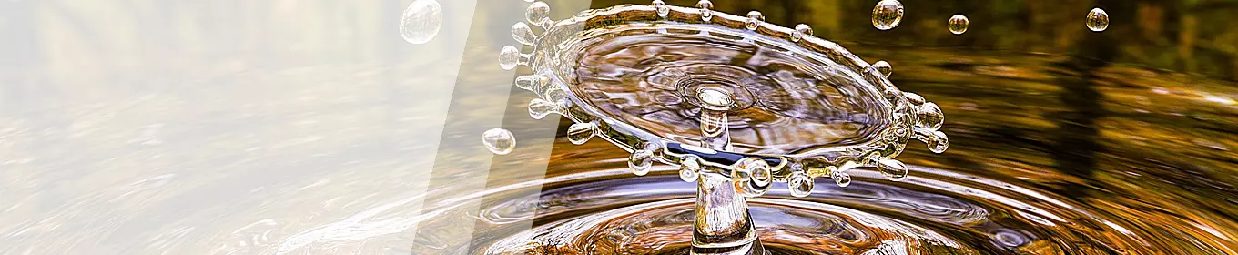 WHG Schulungen - TÜV Thüringen Akademie