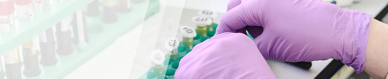 Weiterbildung Medizintechnik - TÜV Thüringen Akademie