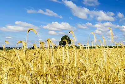 Weiterbildung Landwirtschaft TÜV Akademie
